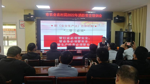 图片1_副本.png
