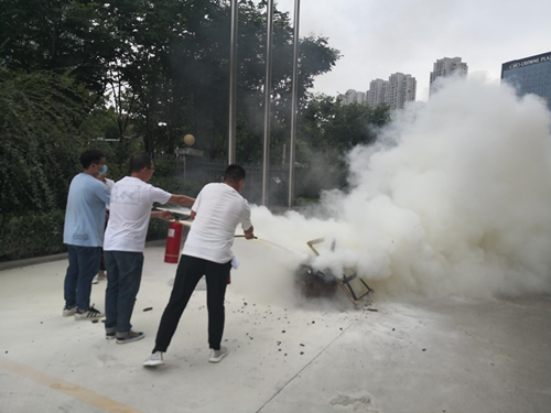 图片2_副本.png